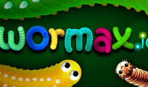 Wormax.io
